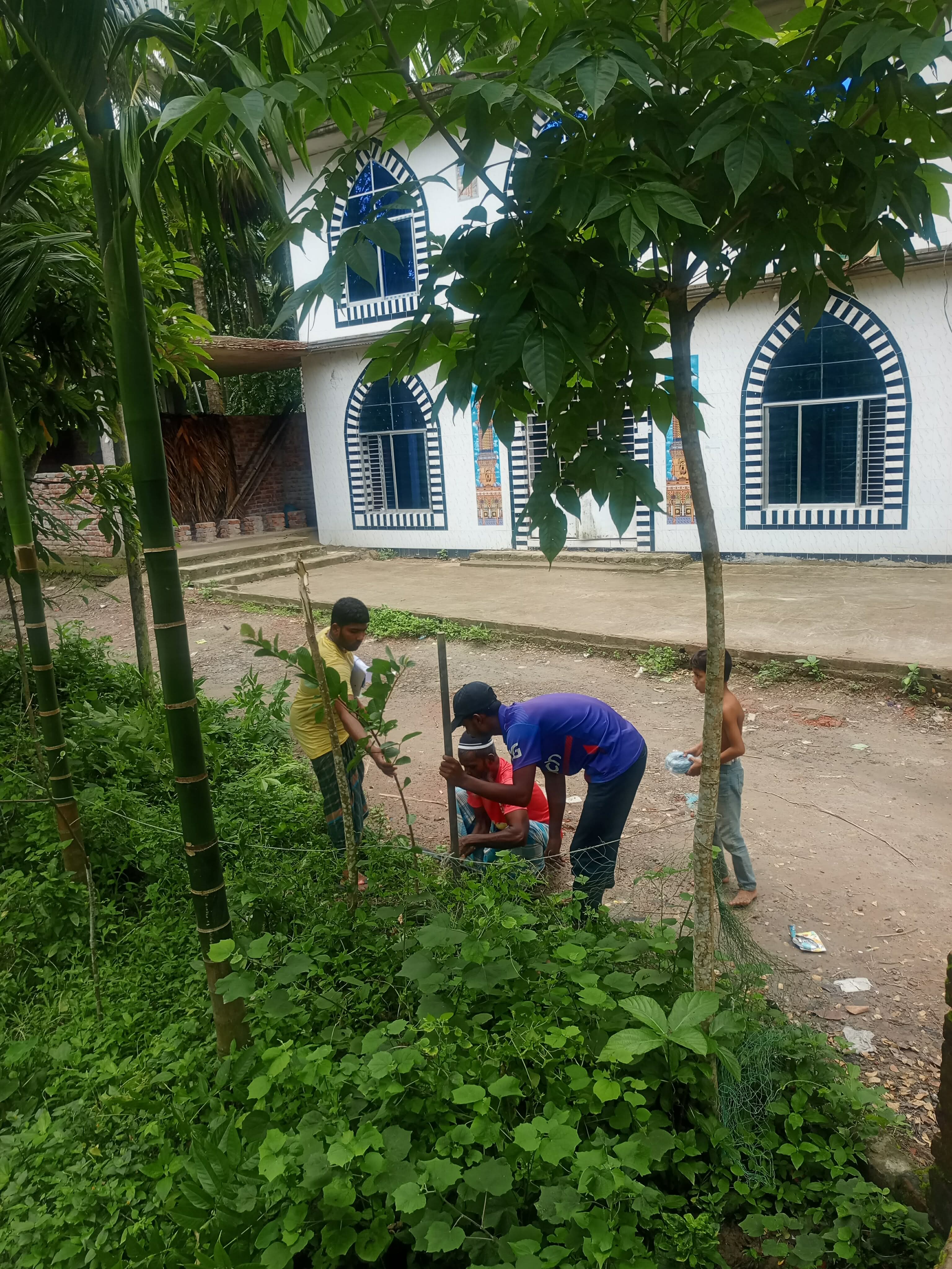 বৃক্ষরোপণ — ছবি 4